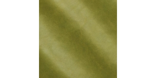 Express Fashion Organic Evergreen 10008