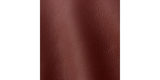 Express Fashion Otis Berry 5004