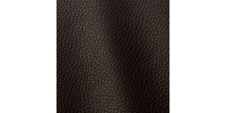 Express Fashion Otis Coffee 5007