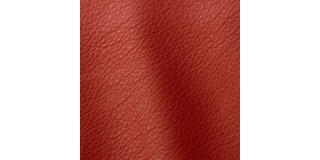 Express Fashion Otis Red Star 5003