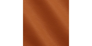 Express Fashion Peggy Ceddar I591004