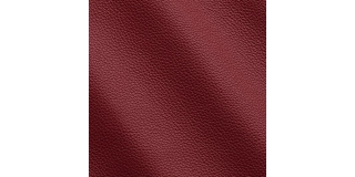 Express Fashion Peggy Gerbera I622153