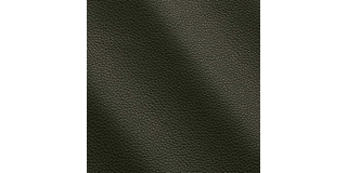 Express Fashion Peggy Loden I681358