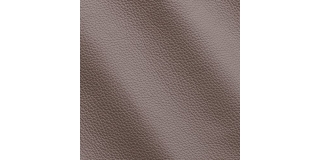 Express Fashion Peggy Owl I533198