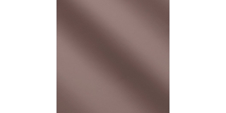 Express Fashion Power Cameo MS310567