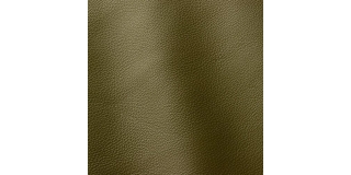 Express Fashion Prescott Aloe 256