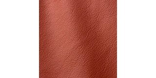 Express Fashion Prescott Begonia 240