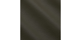 Express Fashion Prescott Birch 258