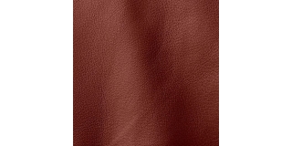 Express Fashion Prescott Blood 241