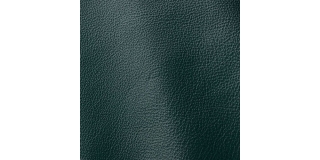 Express Fashion Prescott Bottle 262
