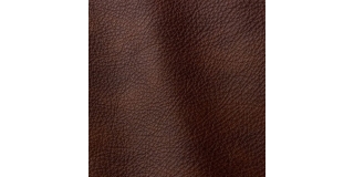 Express Fashion Prescott Braun 399