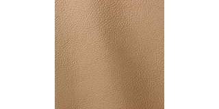 Express Fashion Prescott Buckskin 213