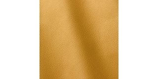 Express Fashion Prescott Carioca 251
