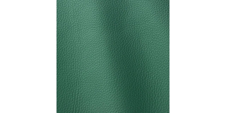 Express Fashion Prescott Cedar Green 261