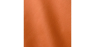 Express Fashion Prescott Claw 246
