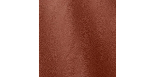 Express Fashion Prescott Crocus 300