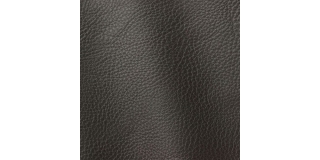 Express Fashion Prescott Grayshadow 211