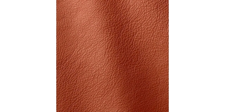 Express Fashion Prescott Henna 299