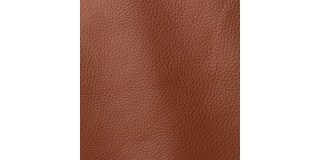 Express Fashion Prescott Horse 398