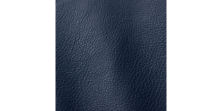 Express Fashion Prescott Indigo 274
