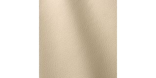 Express Fashion Prescott Ivory 201