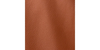 Express Fashion Prescott Jasper 227