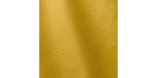 Express Fashion Prescott Lemon Grass 287