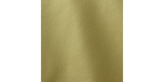 Express Fashion Prescott Lime 294