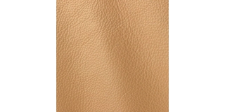 Express Fashion Prescott Lion 221