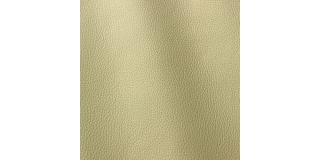 Express Fashion Prescott Moud 254