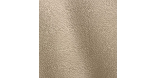 Express Fashion Prescott Papyrus 212