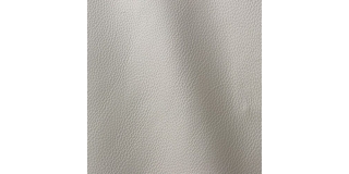 Express Fashion Prescott Pearl 202