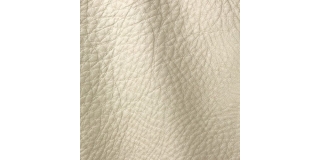 Express Fashion Prescott Penicillin 253