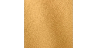 Express Fashion Prescott Pergamena 250