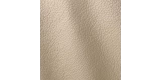 Express Fashion Prescott Porcelain 290