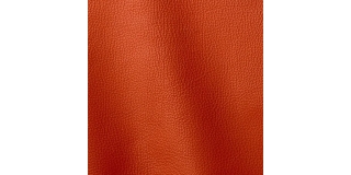 Express Fashion Prescott Redorange 245