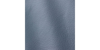 Express Fashion Prescott Steel Bird 273