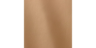 Express Fashion Prescott Tan 295