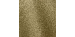 Express Fashion Prescott Terragon 255