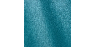 Express Fashion Prescott Turquoise 269