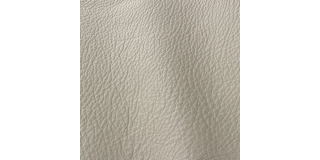 Express Fashion Prescott Turtledove 209