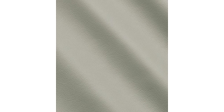Express Fashion Primalinea Iron 10356