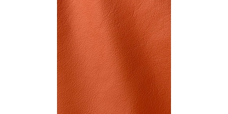 Express Fashion Roma Cognac 904