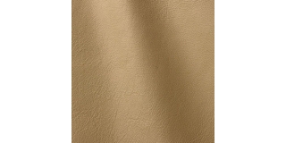 Express Fashion Roma Dune 914