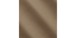 Express Fashion Seta Cappuccino I533285
