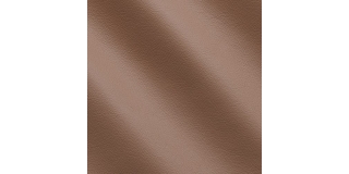 Express Fashion Seta Coquille I6551117