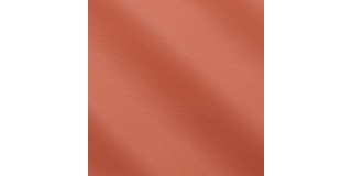 Express Fashion Seta Corallo D61713