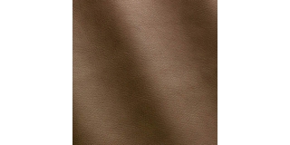 Express Fashion Seta Corteccia D32816