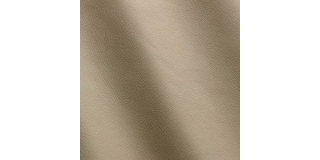 Express Fashion Seta Cream D22211