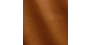 Express Fashion Seta Cuoio D32434